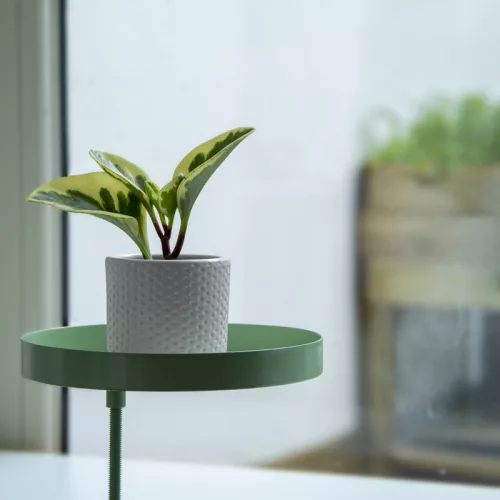 Felszerelhető lebegő dekoratív fém tálca, mentazöld, 18 cm átmérőjű, csomag, 8 db