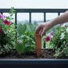 Virágföldbe szúrható kerámia vízadagoló, 17,5 cm, csomag, 36 db