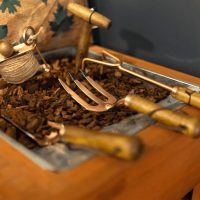 Növénytermesztés, kertrendezés