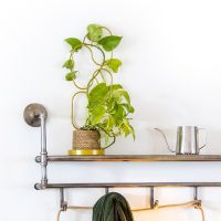 Virág és növénytámaszok, futtatók